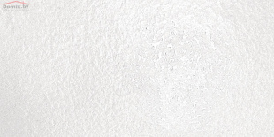 Плитка Idalgo Ультра Лаго белый лаппатированная LR (59,9х120)